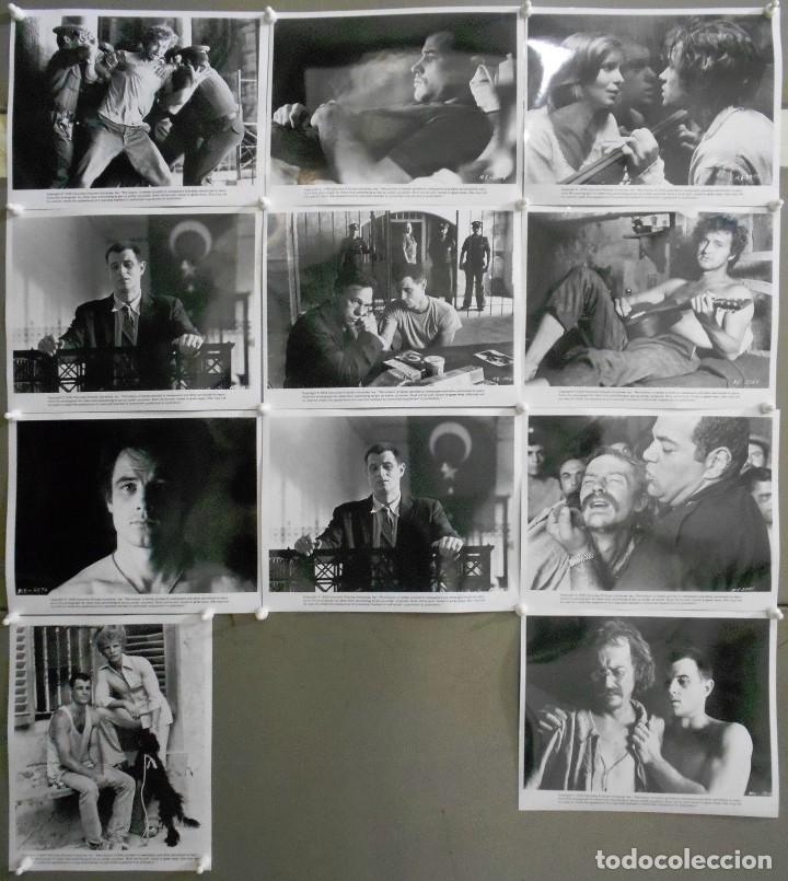 Cine: F24162D ALAN PARKER EL EXPRESO DE MEDIANOCHE 10 FOTOS B/N ORIGINALES AMERICANAS