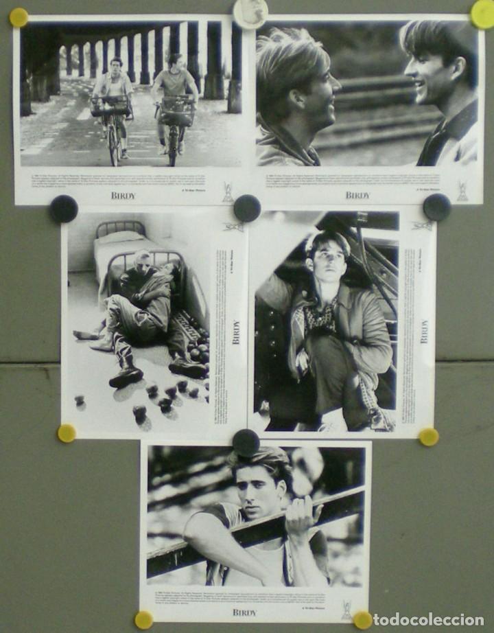 Cine: F14965D BIRDY ALAN PARKER NICOLAS CAGE MATTHEW MODINE 5 FOTOS B/N ORIGINALES AMERICANAS