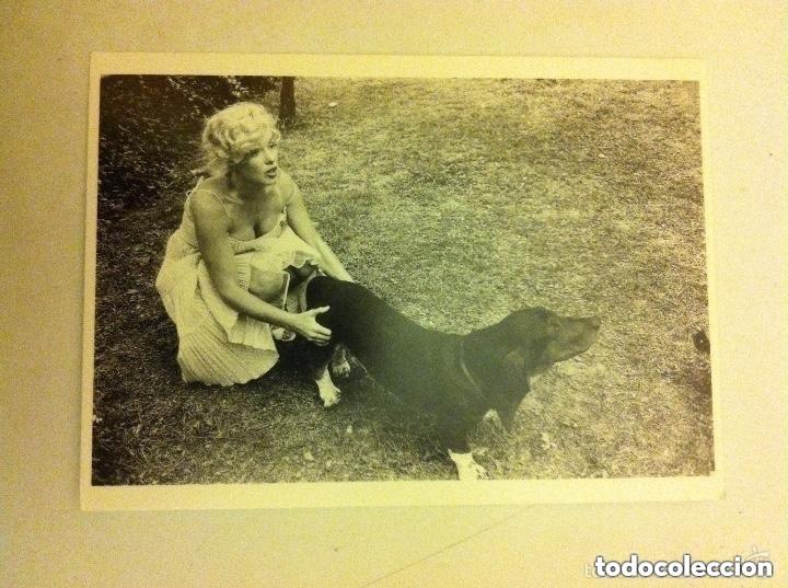 Cine: Marilyn monroe - postal halsman