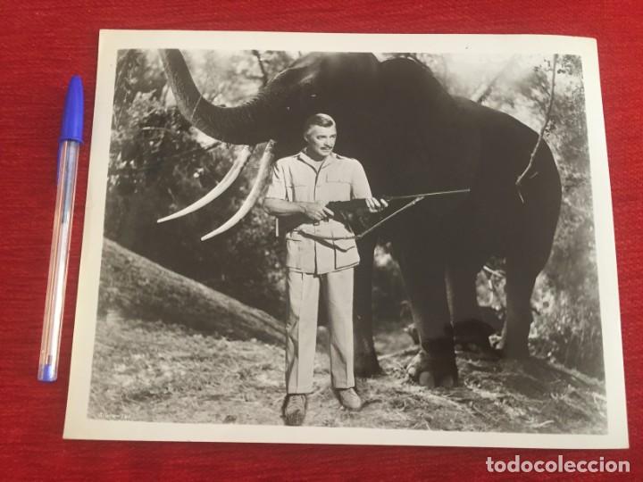 Cine: F9768 FOTO FOTOGRAFIA ORIGINAL DE PRENSA CINE CLARK GABLE MOGAMBO 1953 AVA GARDNER