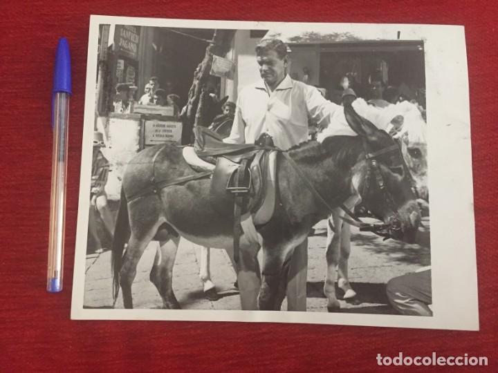 Cine: F9774 FOTO FOTOGRAFIA ORIGINAL DE PRENSA CINE CLARK GABLE CON UN BURRO HOTEL MANFREDI PAGANO ITALIA