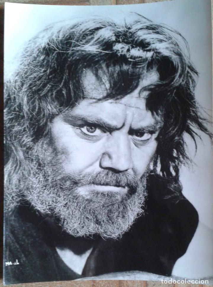 Cine: ERNEST BORGNINE. LOS VIKINGOS. FOTO 18X24.