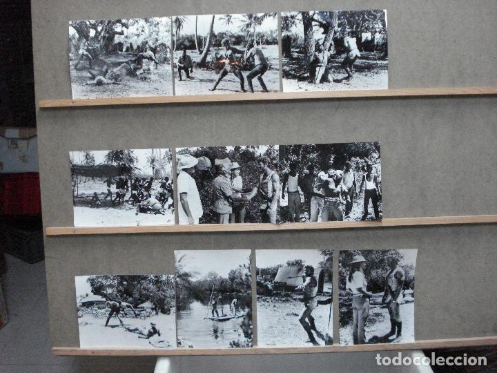 Cine: F31831 ZAMBO REY DE LA JUNGLA BRAD HARRIS 10 FOTOS B/N ORIGINALES ESPA&Ntilde;OLAS
