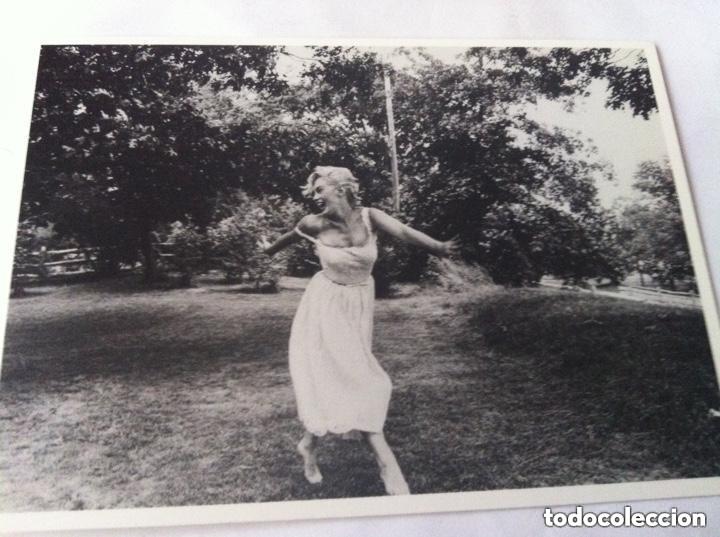 Cine: marilyn monroe -