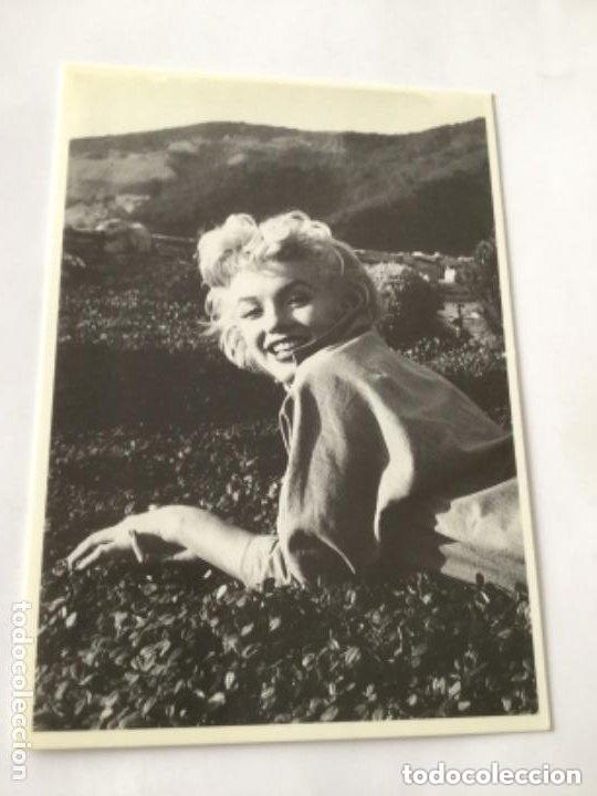 Cine: marilyn monroe -