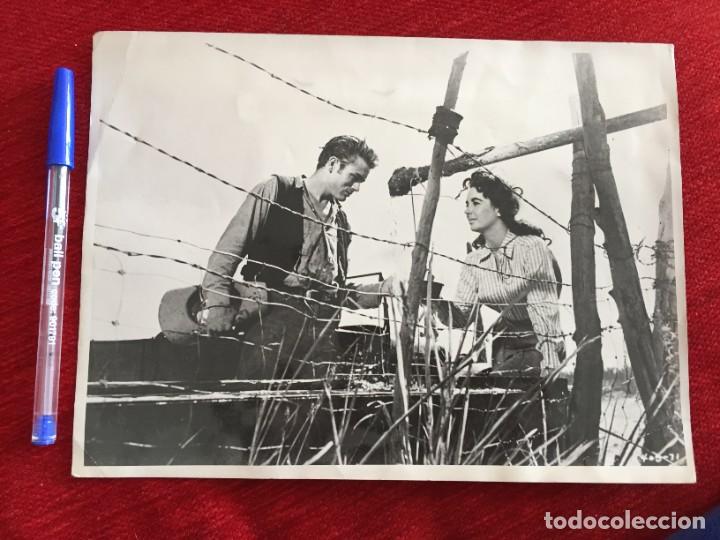 Cine: F9875 FOTO FOTOGRAFIA ORIGINAL DE PRENSA LIZ ELIZABETH TAYLOR JAMES DEAN PELICULA Giant
