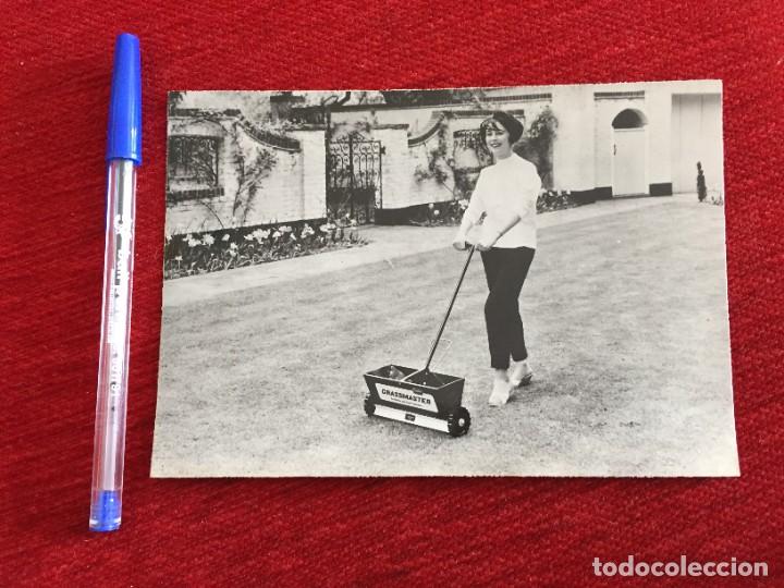 Cine: R10317 FOTO FOTOGRAFIA ORIGINAL DE PRENSA LIZ ELIZABETH TAYLOR GRASSMASTER