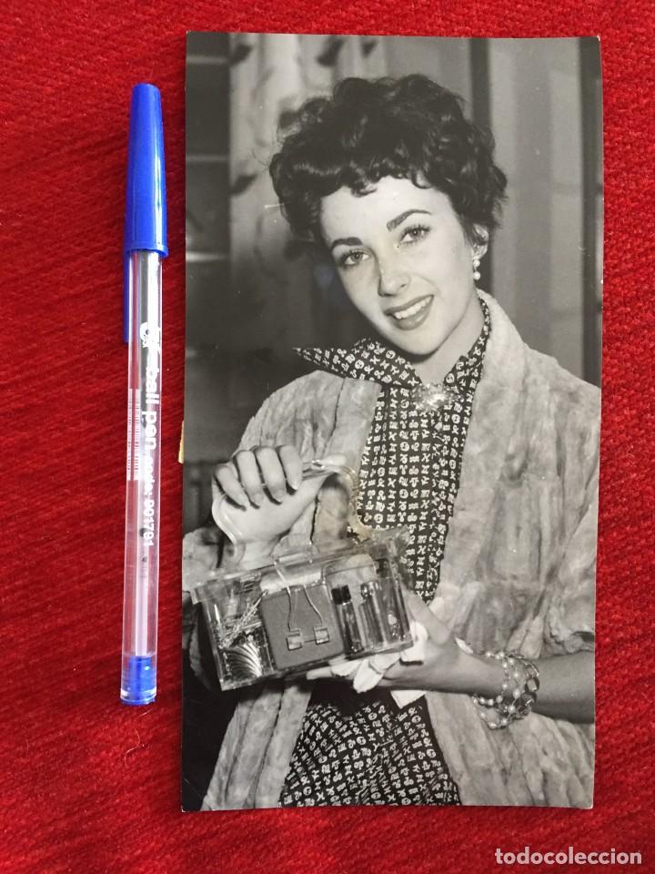Cine: R10319 FOTO FOTOGRAFIA ORIGINAL DE PRENSA LIZ ELIZABETH TAYLOR (4-7-1951)