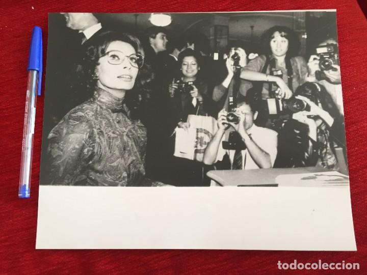 Cine: F10230 FOTO FOTOGRAFIA ORIGINAL DE PRENSA SOFIA LOREN (26-9-1980)