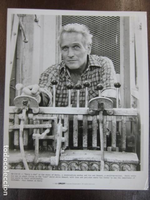 Cine: harry & son - foto original b/n - paul newman harry e hijo orion pictures