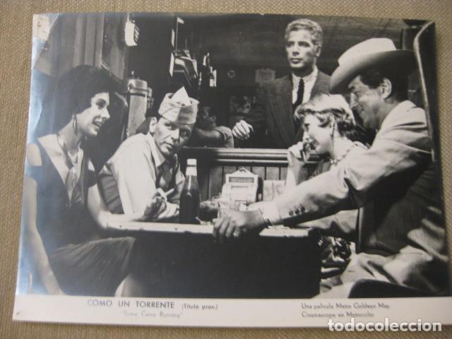 Cine: como un torrente - foto original b/n - some came running frank sinatra shirley maclaine dean martin