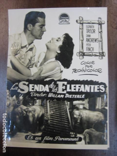 Cine: la senda de los elefantes - FOTO B/N ORIGINAL - elizabeth taylor dana andrews peter finch w dieterle