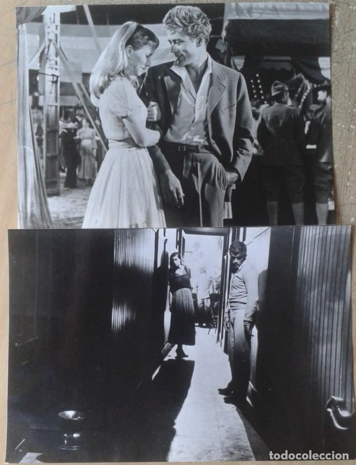 Cine: AL ESTE DEL ED&Eacute;N. 2 FOTOS. JAMES DEAN, JULIE HARRIS, LOIS SMITH