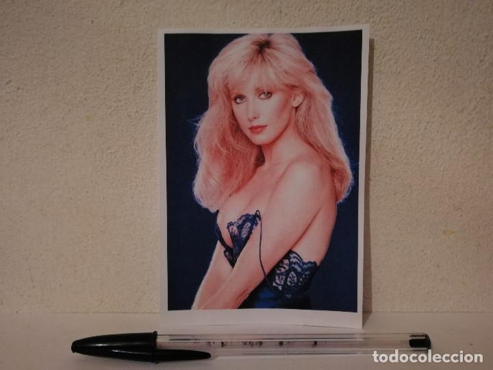 Cinema: IMPRESO PAPEL -9*13- Morgan Fairchild - BLOND LOOK 2