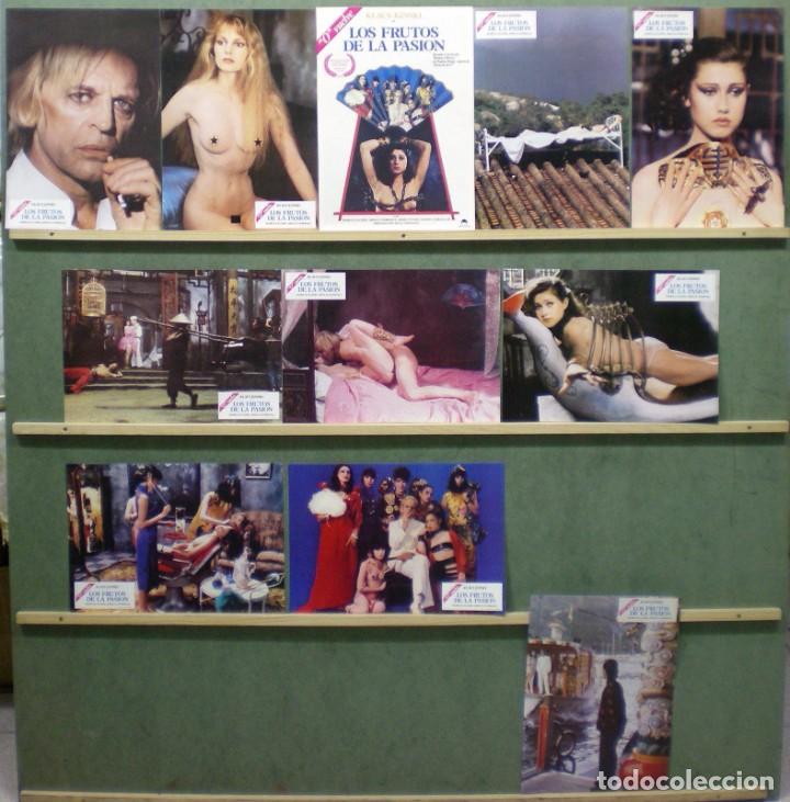 Kino: TT29D LOS FRUTOS DE LA PASSION KLAUS KINSKI SET 8 FOTOCROMOS + GUIA ORIGINAL ESTRENO