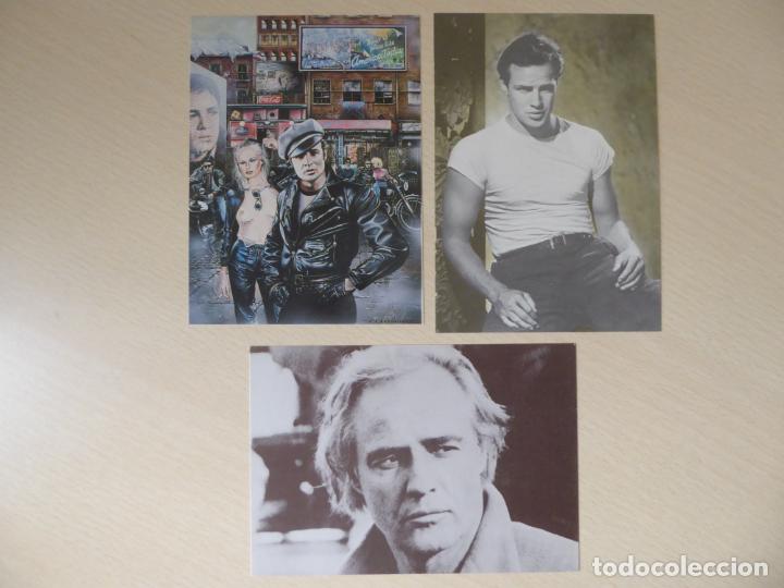 Cine: Lote 3 postales Marlon Brando: en Salvaje (por W.S. Grandison), en Un tranv&iacute;a llamado deseo y foto