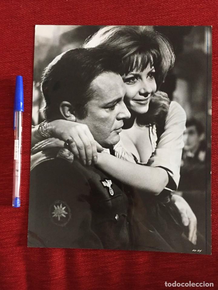 Cinema: F11573 FOTO FOTOGRAFIA ORIGINAL DE PRENSA CINE RICHARD BURTON