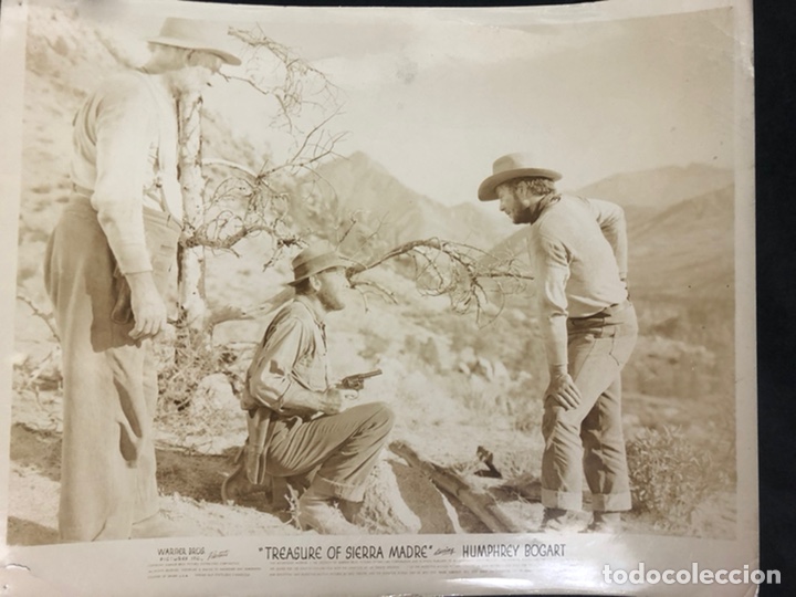 Cine: Foto original de Humphrey Bogart el tesoro de sierra madre 20 x 25 c