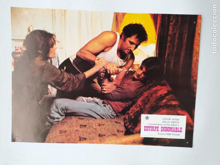 Kino: LOTE DE 12 FOTOGRAMAS DE LA PELICULA ESTIRPE INDOMABLE. STERLING HAYDEN. FRANK PIERSON. TDKP17J