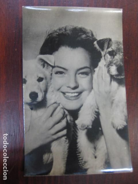 Cine: romy schneider - postal original b/n - ed. marte - perros dogs