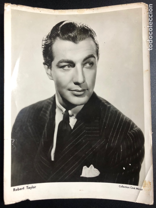 Cine: Foto original de Robert Taylor 18 x 24 cm