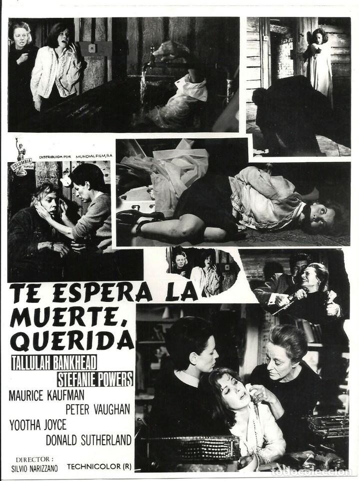 Cinema: F28923D TE ESPERA LA MUERTE QUERIDA HAMMER TALLULAH BANKHEAD POWERS FOTO ORIGINAL B/N ESPA&Ntilde;OLA