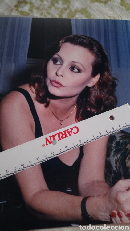 Cine: Roc&iacute;o durcal foto de 24 x 30 de una gran calida fotografica papel saten
