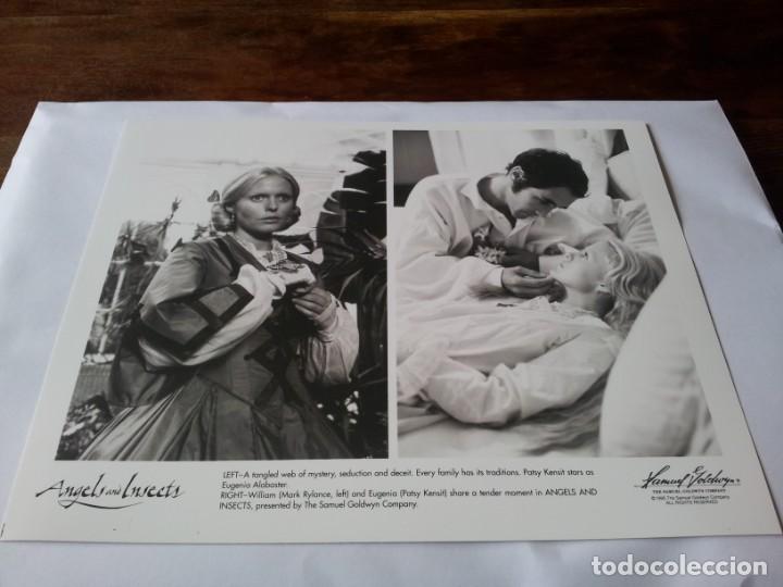 Kino: angeles y insectos - patsy kensit, mark rylance - foto original B/N s. goldwyn 1995