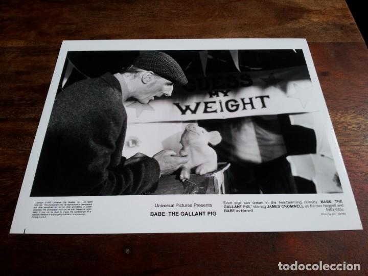 Cine: Babe, el cerdito valiente - James Cromwell, Babe - foto original B/N universal a&ntilde;o 1995