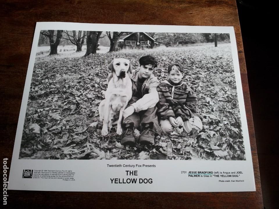 Cine: Lejos de casa - Jesse Bradford, Joel Palmer - Foto original b/n Fox films 1995
