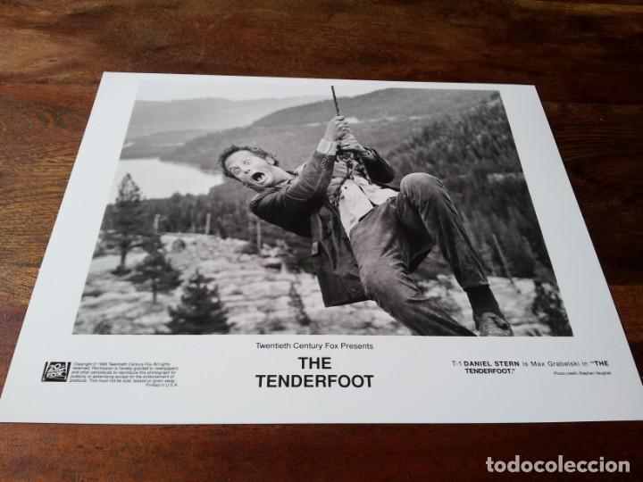 Cine: El gran scout the tenderfoot - daniel stern - foto original fox 1995