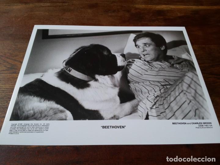 Cine: Beethoven, uno m&aacute;s de la familia - Charles Grodin, beethoven - foto original b/n universal 1991