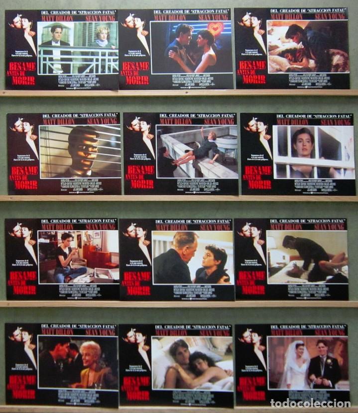 Cinema: 3ZF09D BESAME ANTES DE MORIR MATT DILLON SEAN YOUNG SET COMPLETO 12 FOTOCROMOS ORIGINAL ESTRENO