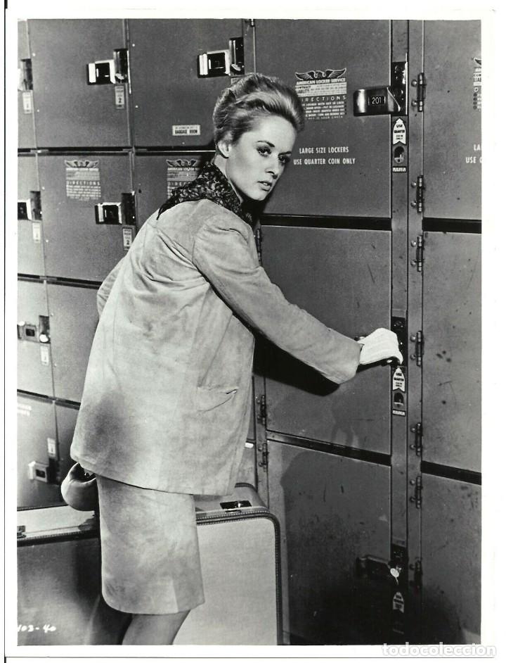 Cine: F29484D MARNIE LA LADRONA TIPPI HEDREN ALFRED HITCHCOCK FOTO B/N ORIGINAL ESPA&Ntilde;OLA