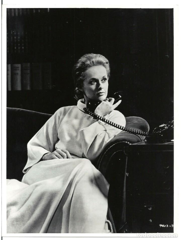 Cine: F29483D MARNIE LA LADRONA TIPPI HEDREN ALFRED HITCHCOCK FOTO B/N ORIGINAL ESPA&Ntilde;OLA