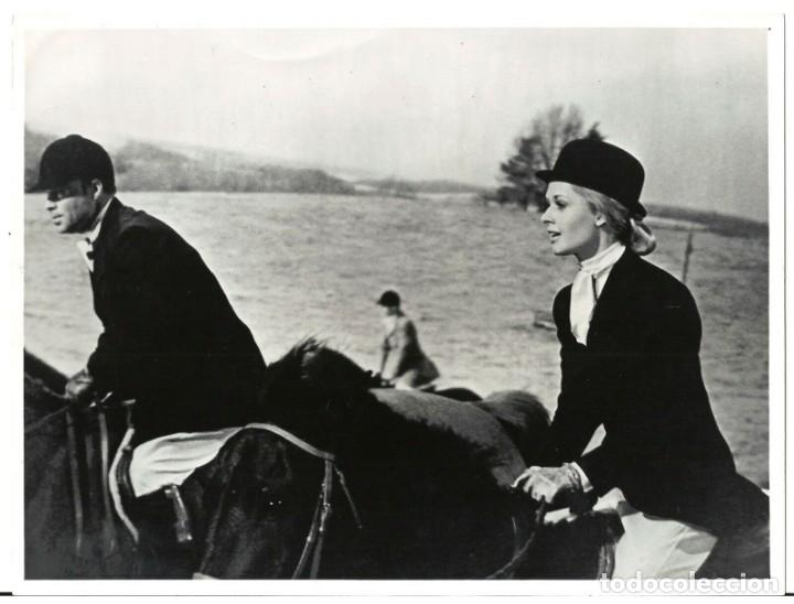 Cine: F29493D MARNIE LA LADRONA TIPPI HEDREN A CABALLO ALFRED HITCHCOCK FOTO B/N ORIGINAL ESPA&Ntilde;OLA