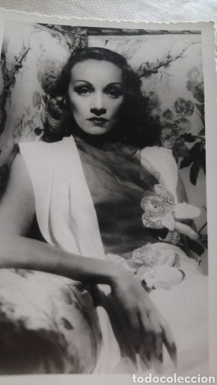 Cine: Marlene dietrich postal de los 80