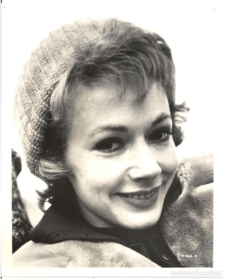 Cine: F18464D PIPER LAURIE EL BUSCAVIDAS FOTO B/N ORIGINAL AMERICANA