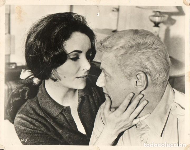 Cine: Fotograf&iacute;a Original Reflections In A Golden Eye Elizabeth Taylor Gordon Mitchell John Huston 1967