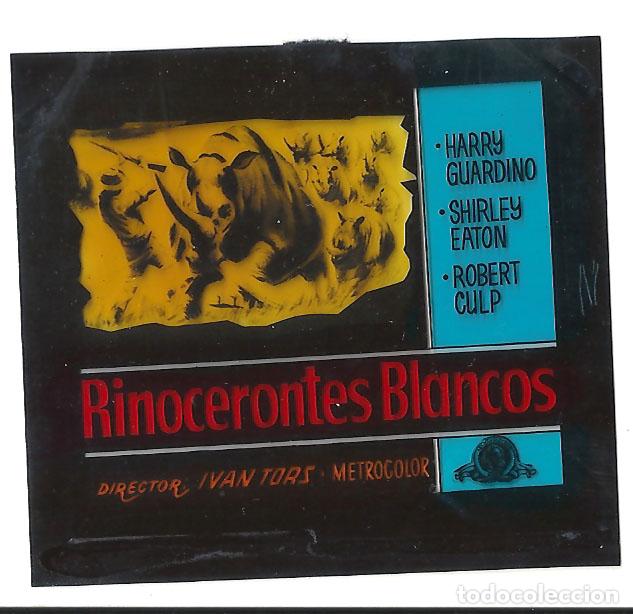 Kino: F31948 RINOCERONTES BLANCOS HARRY GUARDINO SHIRLEY EATON TRANSPARENCIA ORIGINAL
