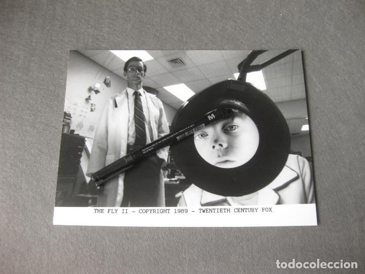 Cine: FOTOGRAF&Iacute;A O FOTOGRAMA DE LA PEL&Iacute;CULA THE FLY II - 1989 - TWENTIETH CENTURY FOX. 17,5 X 24 CMS