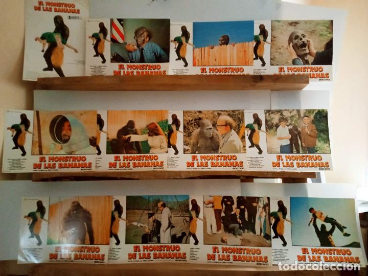 Cine: El monstruo de las bananas John Landis, Saul Kahan 12 FOTOCROMOS ORIGINALES TERROR