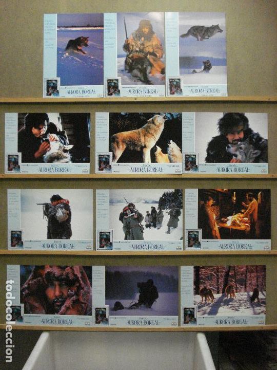 Cinema: AAZ66 BAJO LA AURORA BOREAL TOSHIO GOTO SET COMPLETO 12 FOTOCROMOS ORIGINAL ESTRENO