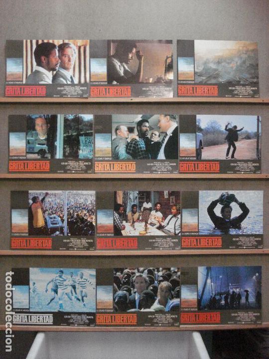Cinema: ABA10 GRITA LIBERTAD DENZEL WASHINGTON SET COMPLETO 12 FOTOCROMOS ORIGINAL ESTRENO