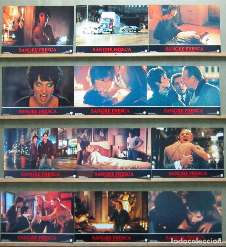 Cine: ABD87 SANGRE FRESCA ANNE PARILLAUD JOHN LANDIS SET COMPLETO 12 FOTOCROMOS ORIGINAL ESTRENO