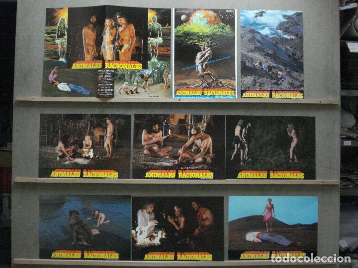 Cine: ABF31 ANIMALES RACIONALES ELIGIO HERRERO TRASH SET 9 FOTOCROMOS ORIGINAL ESTRENO