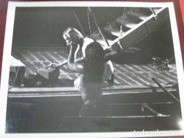 Cine: king kong 1976- foto original b/n - jessica lange