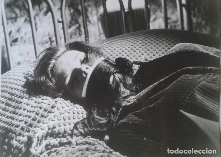 Cinema: EL COLECCIONISTA. SAMANTHA EGGAR