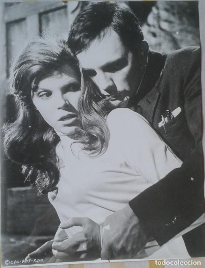 Cinema: EL COLECCIONISTA. TERENCE STAMP, SAMANTHA EGGAR