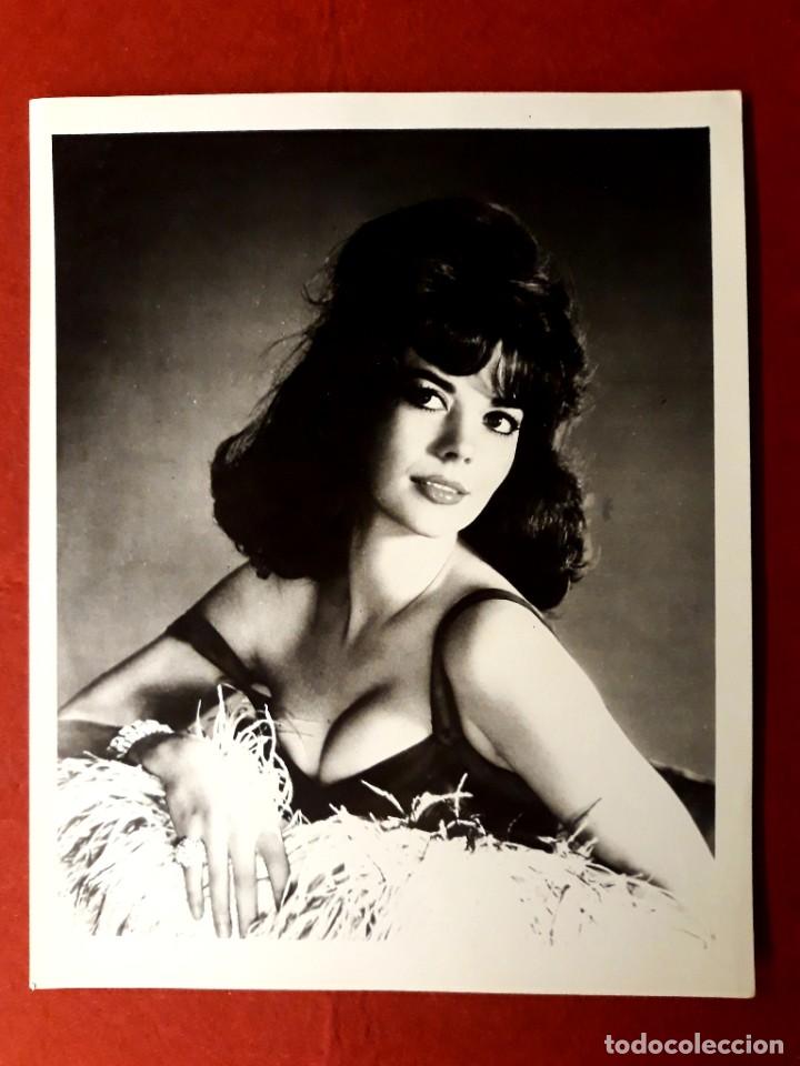 Kino: Foto Gran Formato Natalie Wood ( 20.40 cm X 25.30 cm )